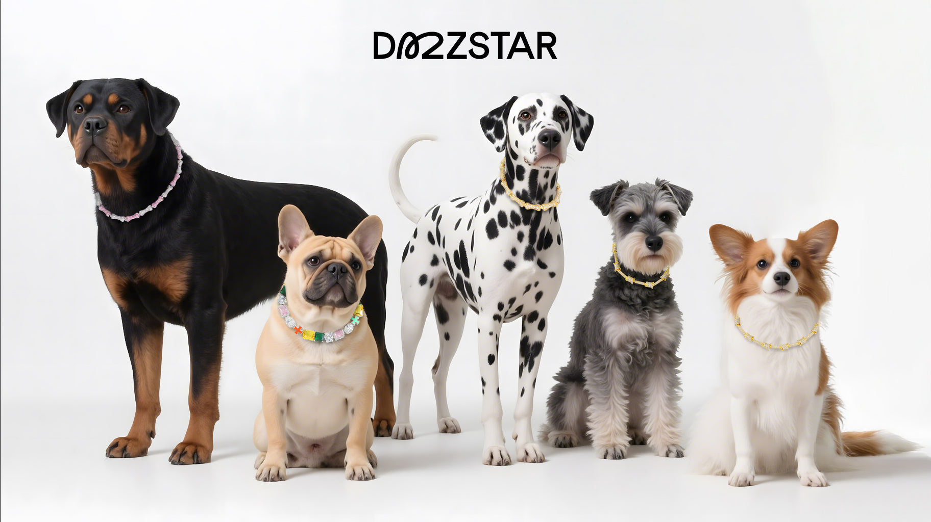 Dazzstar: Matching Jewelry for You & Your Furry Friend – The Ultimate Bond of Style and Love