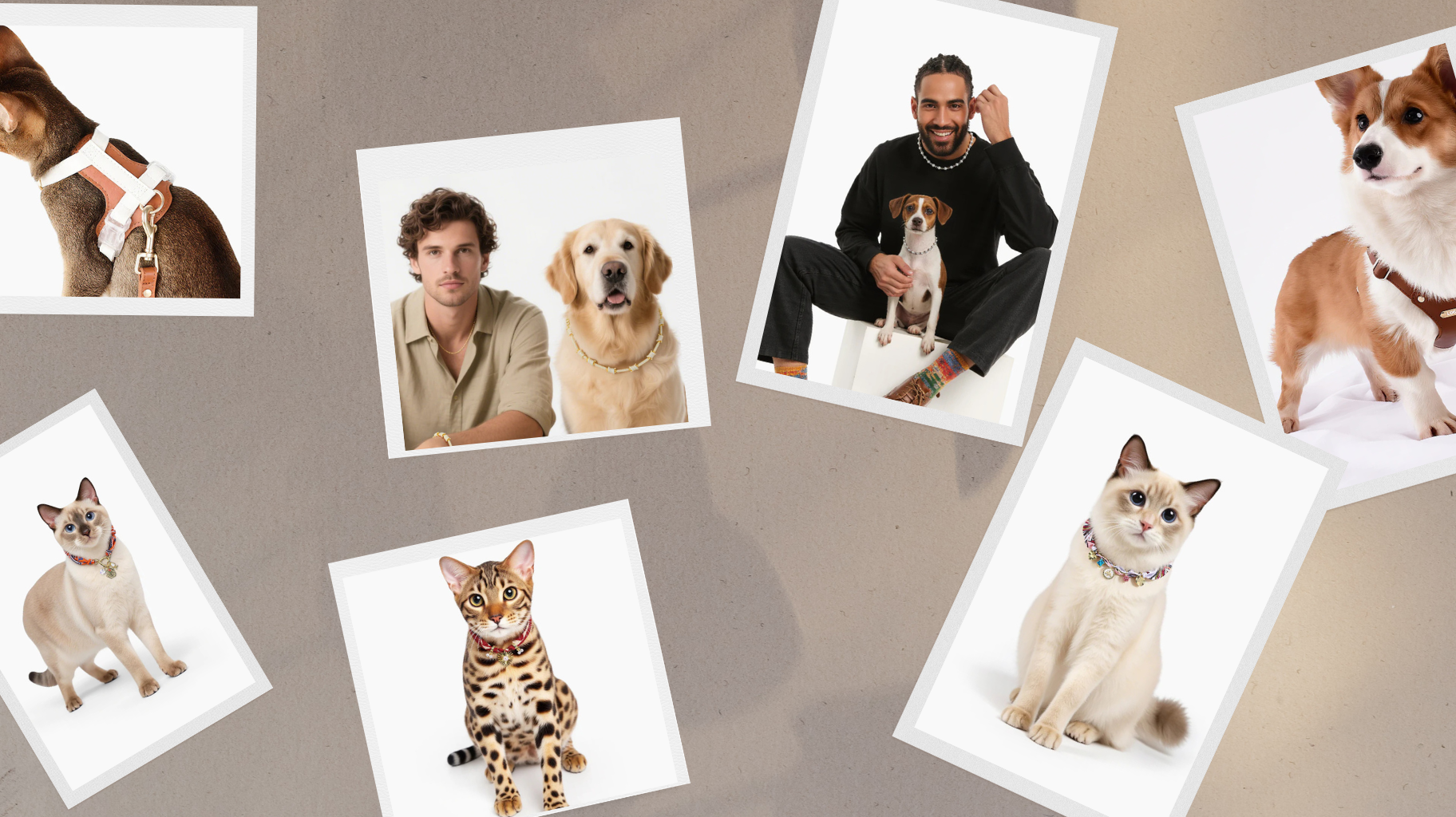 Pet and owner matching set styling by Dazzstar