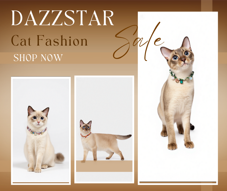 Elegant silk cat collar with gentle shine displayed on a playful kitten, perfect for cat fashion and accessories