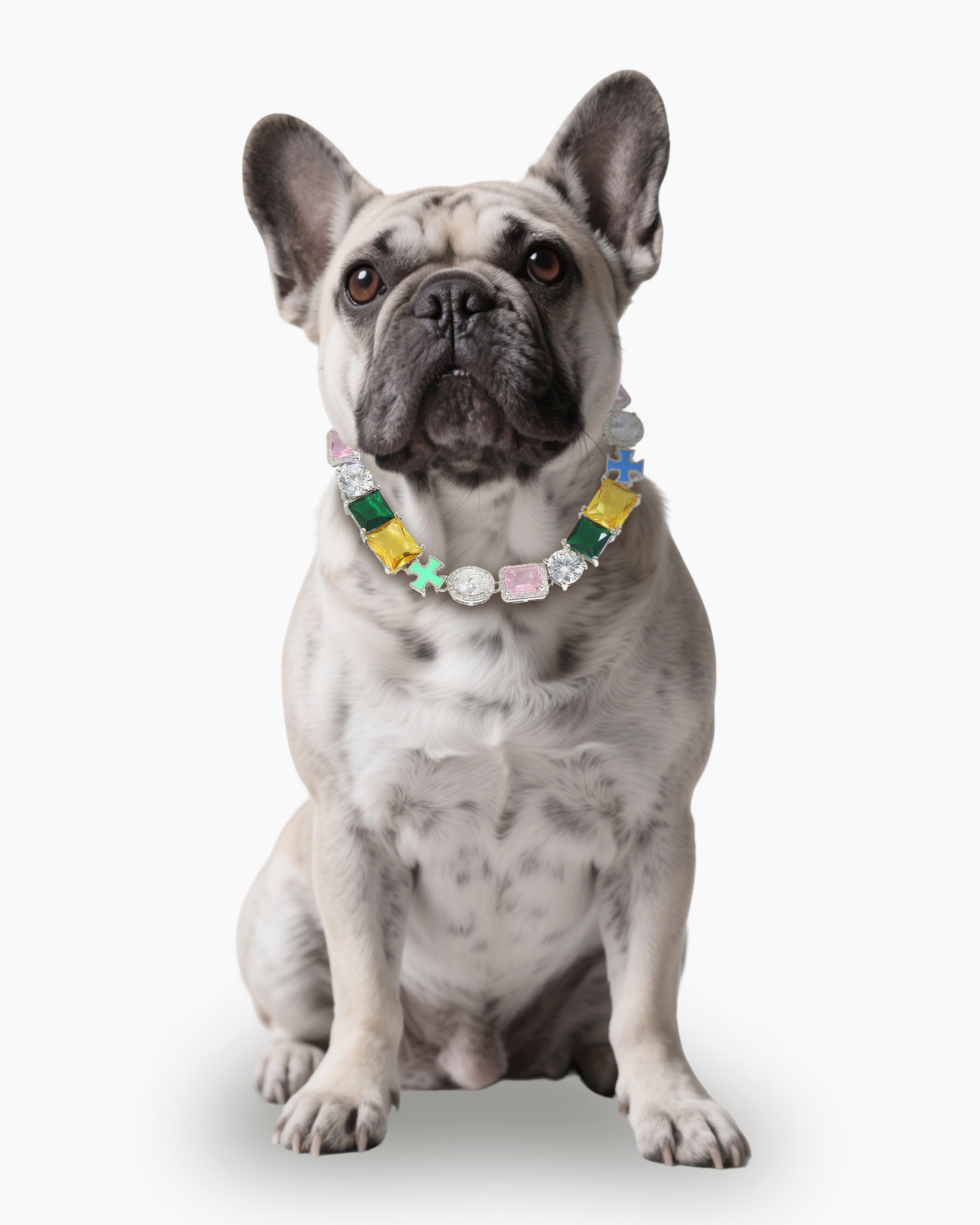 Chroma Saint Pet Collar
