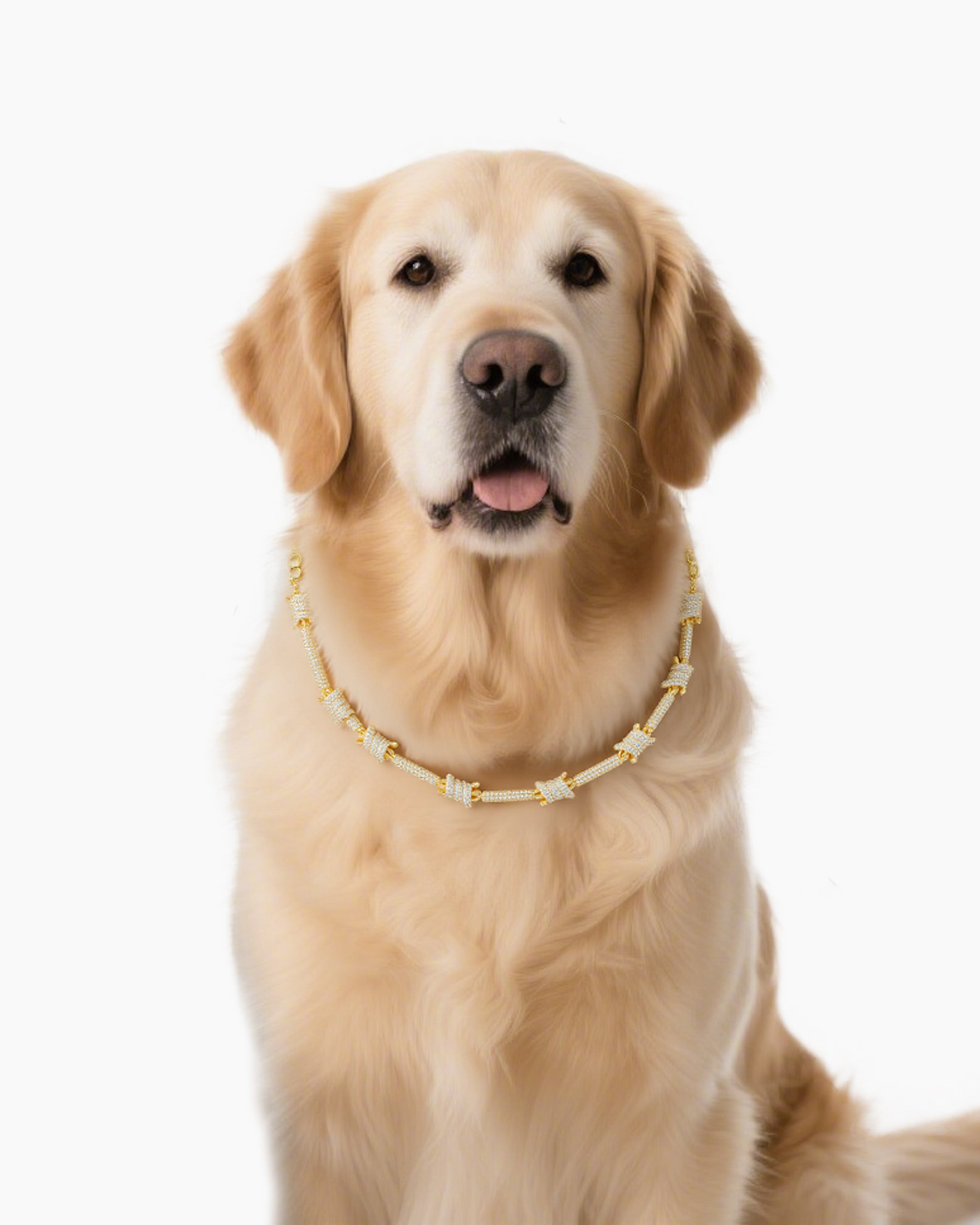 Time-Knot Chain Pet Collar