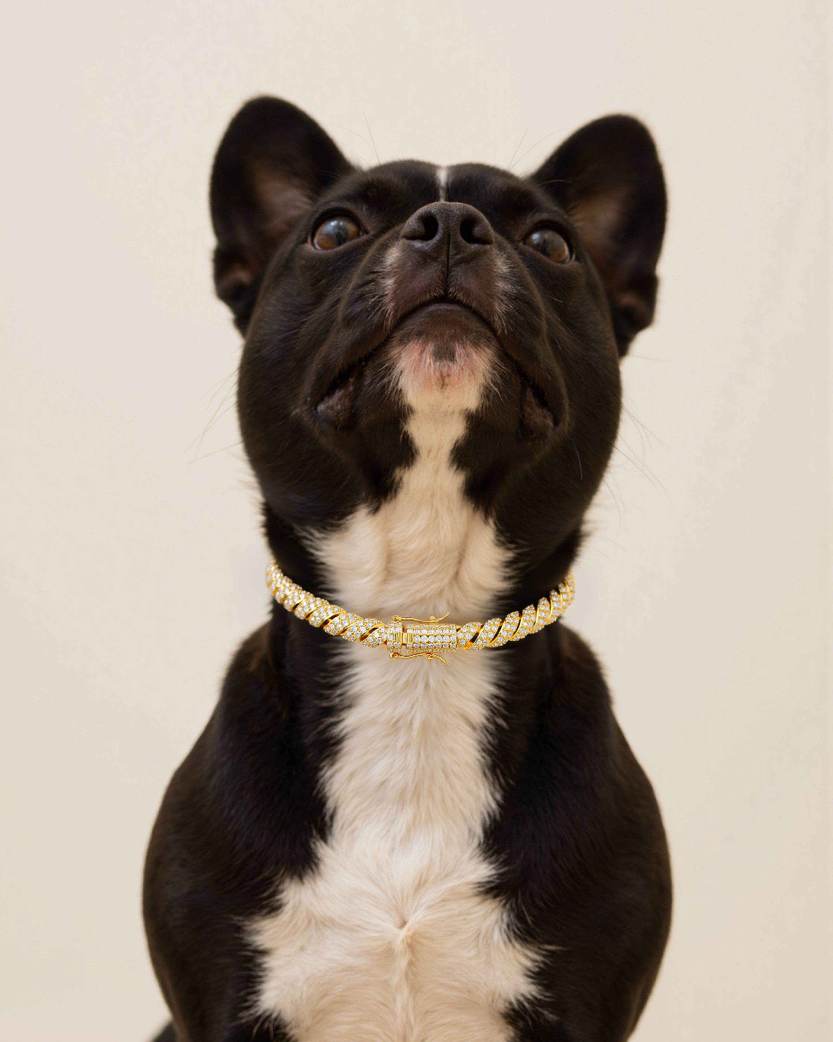 SparkleLink Pet Collar