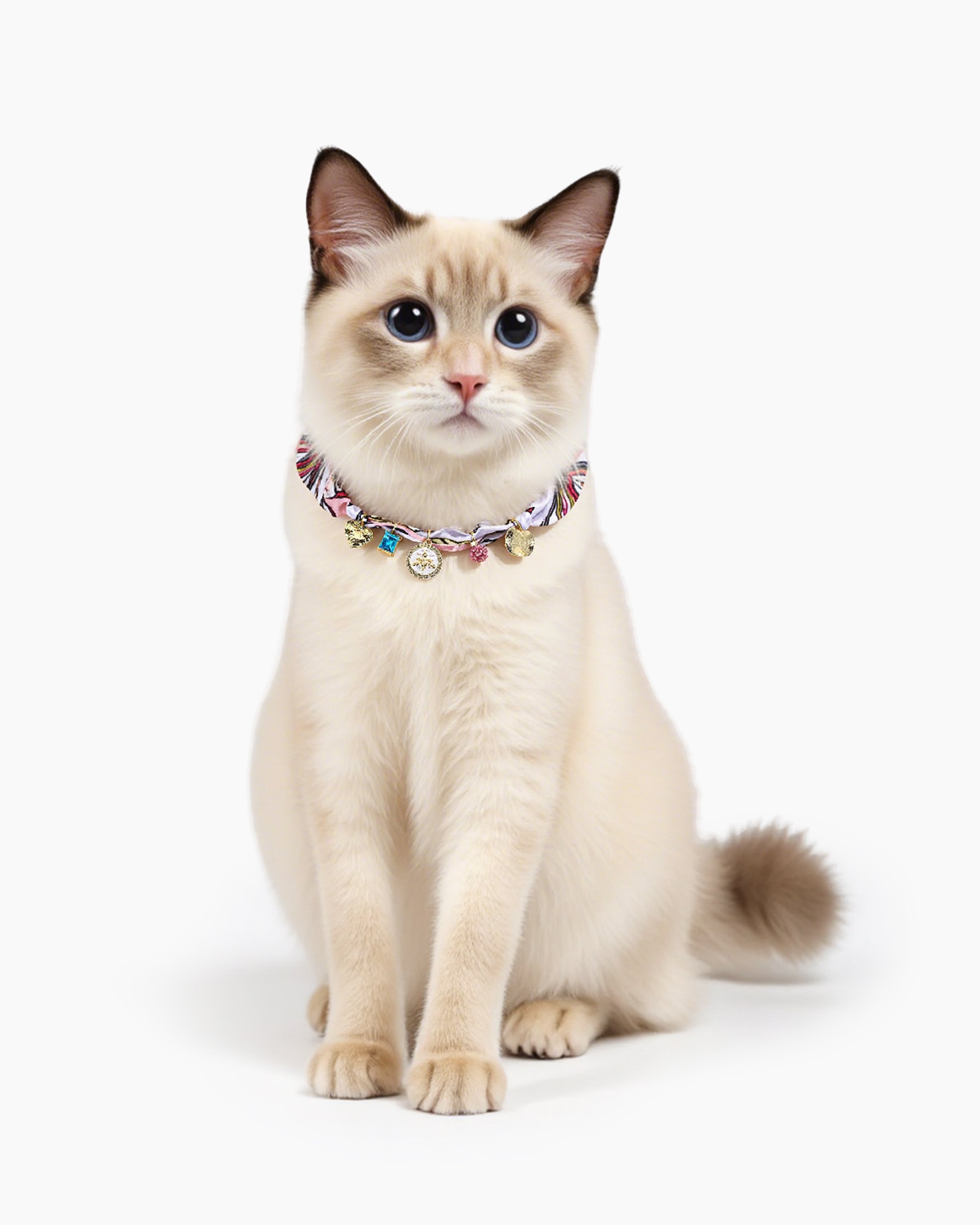 Cat wearing the Adjustable Heart & Shapes Luxury Silk Cat Collar, showcasing style and comfort