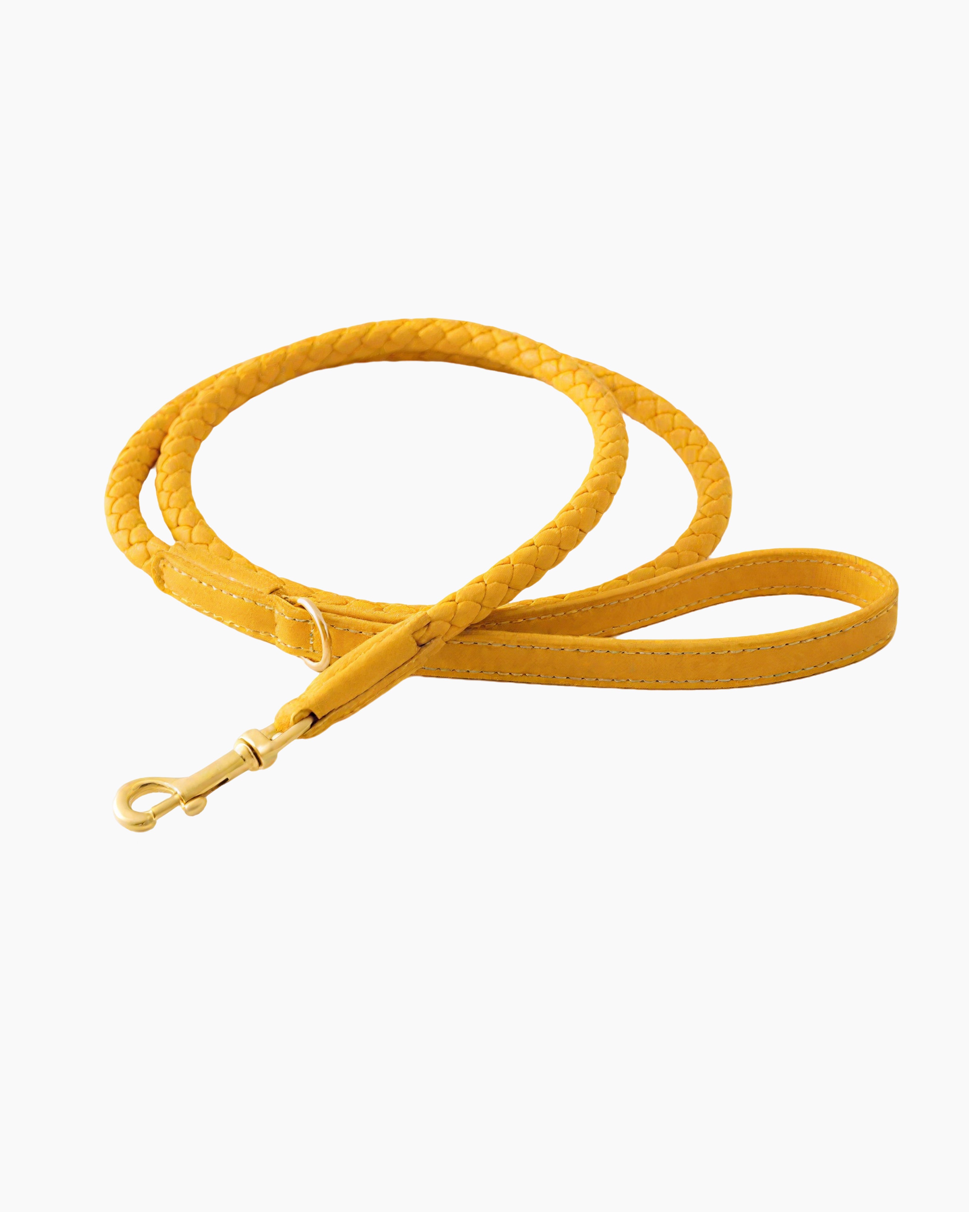 Braided leather dog leash for small dogs, front view showing adjustable buckle.