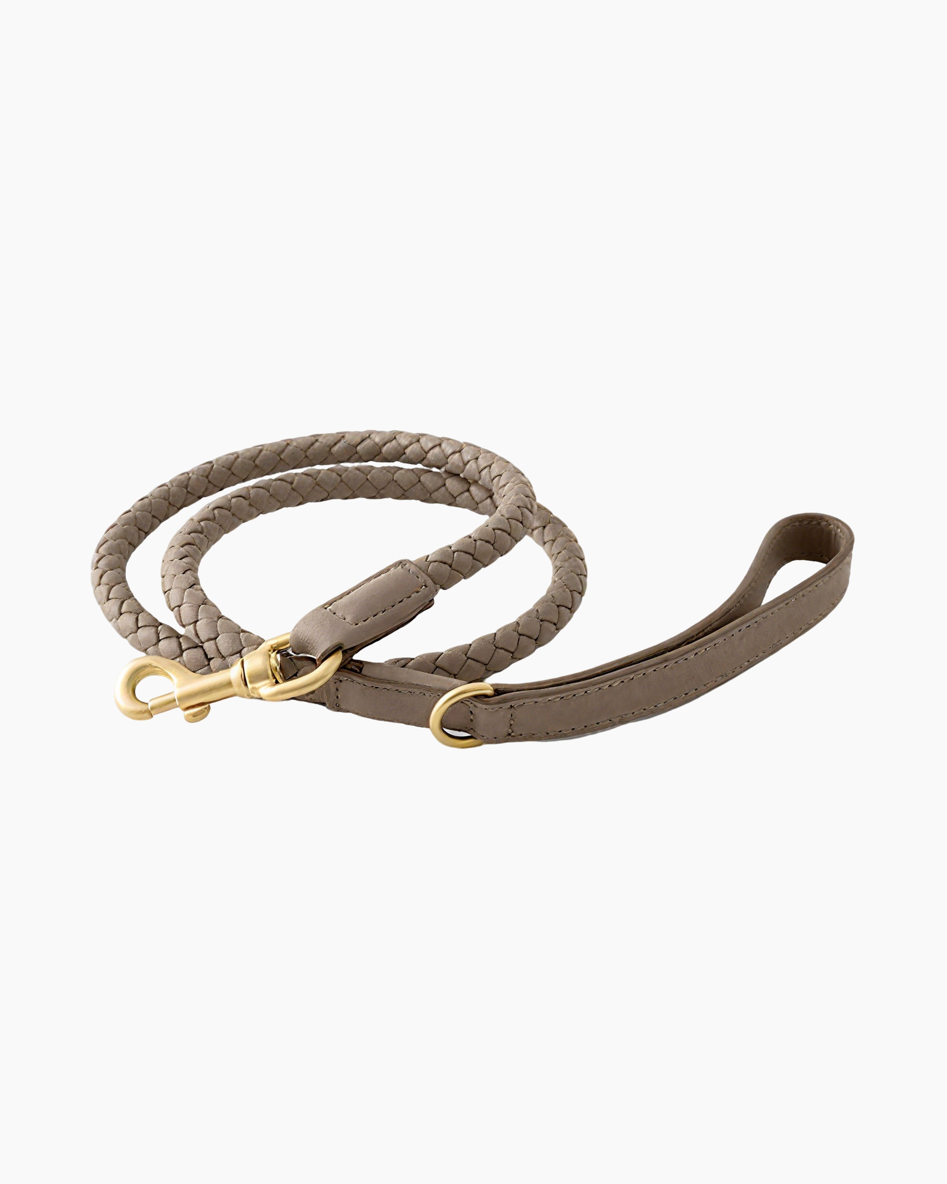 Leather dog lead used for taking a small dog to a stylish pet-friendly cafe.