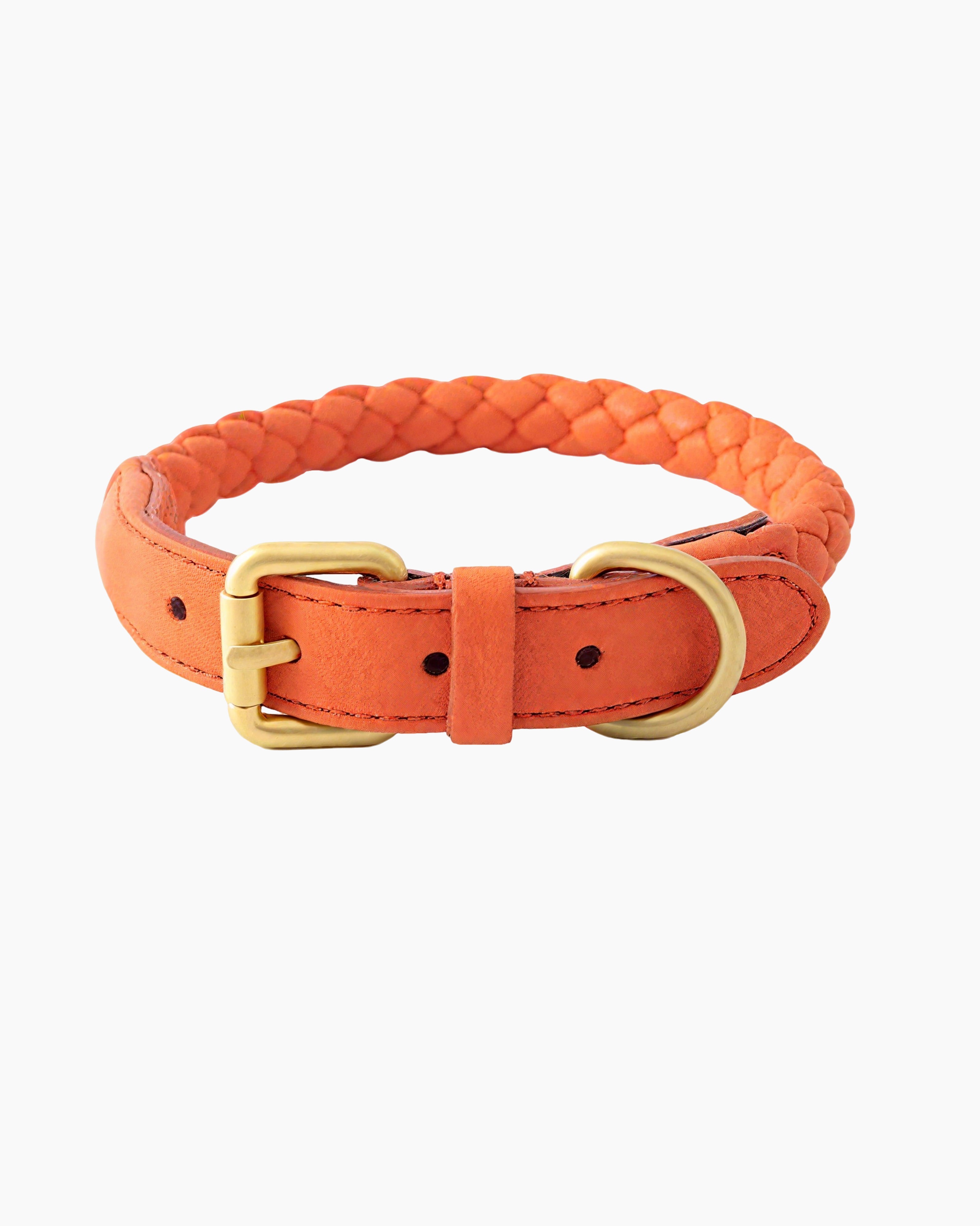 Dog wearing bright yellow woven dog collar, showing personalized style