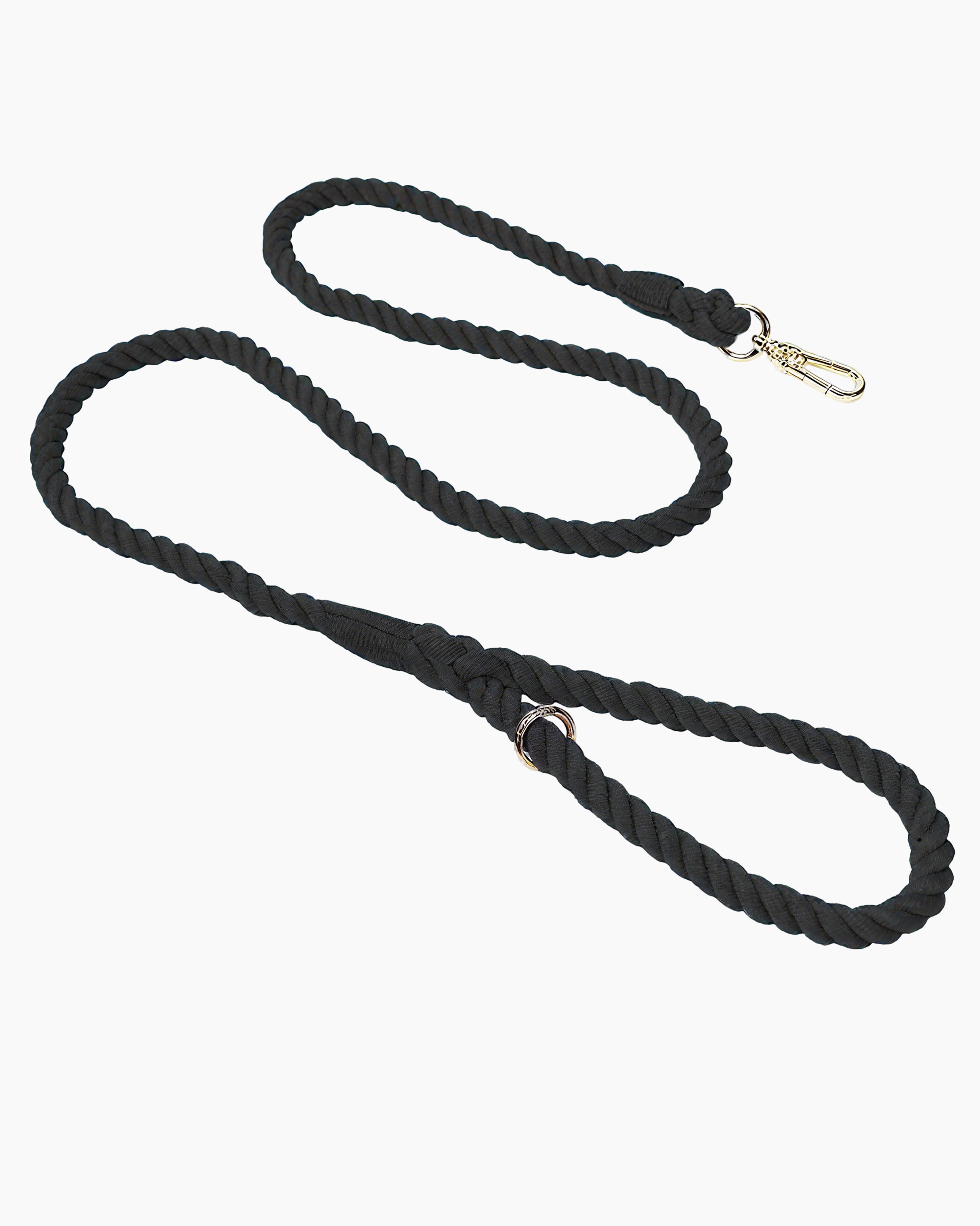 Dog wearing colorful dog leash, showing joyful style