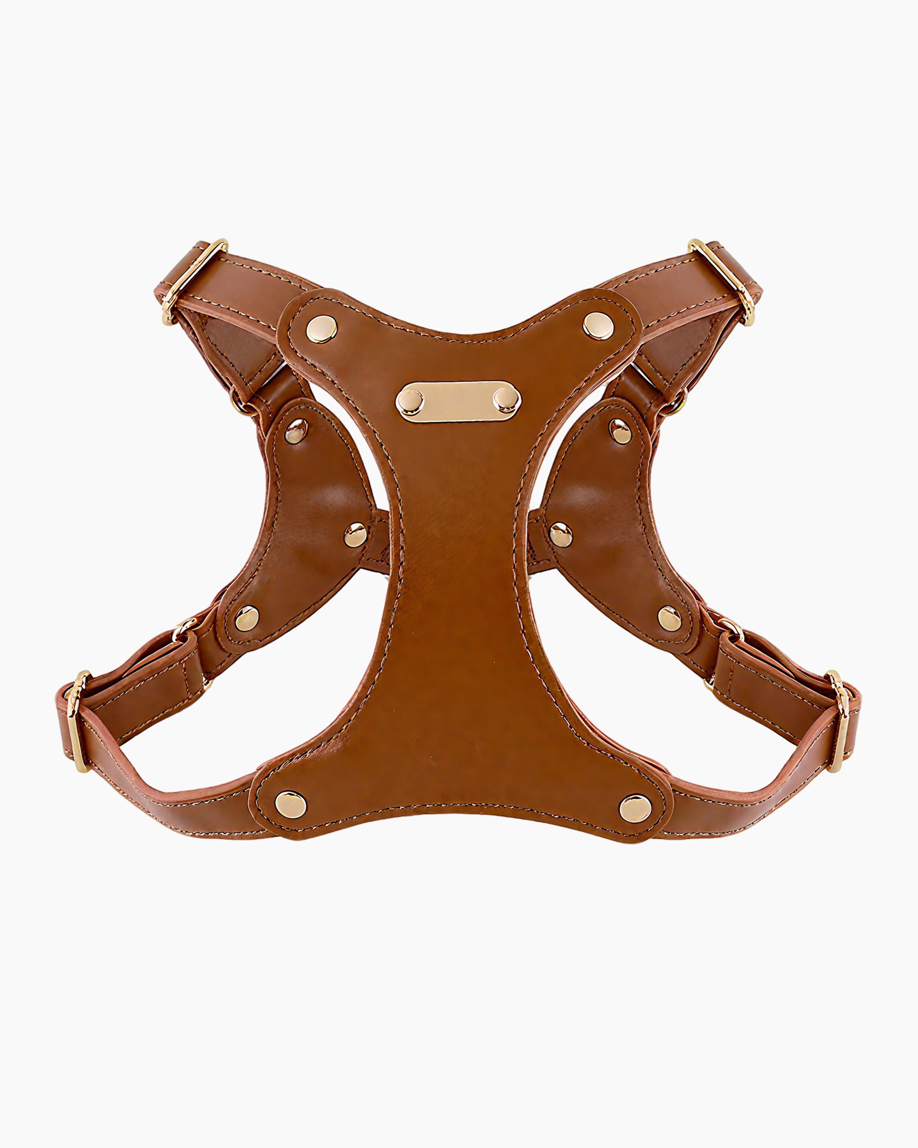 Ergonomic adjustable dog and cat harness for small and medium pets, compatible with petsafe and kurgo harnesses.