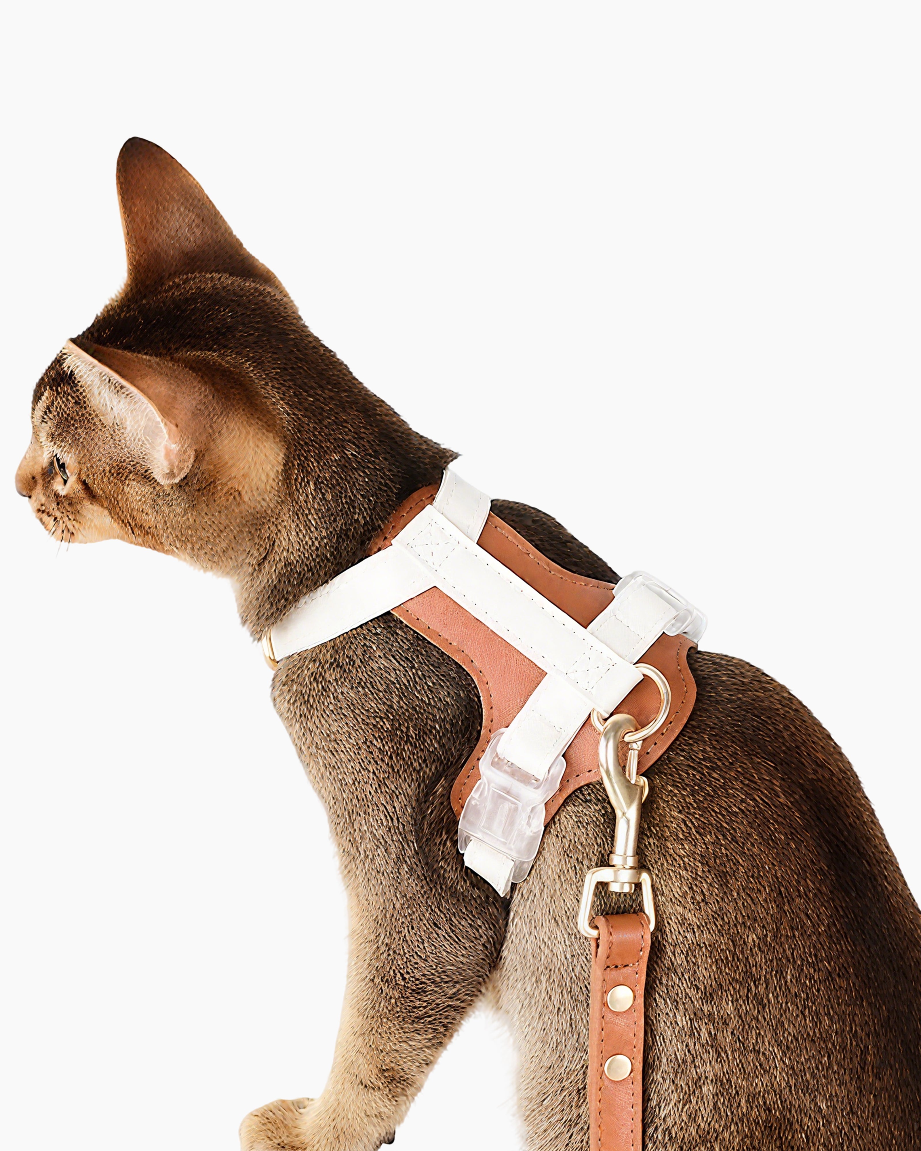 Kurgo style pet harness for dogs and cats, lightweight and comfortable