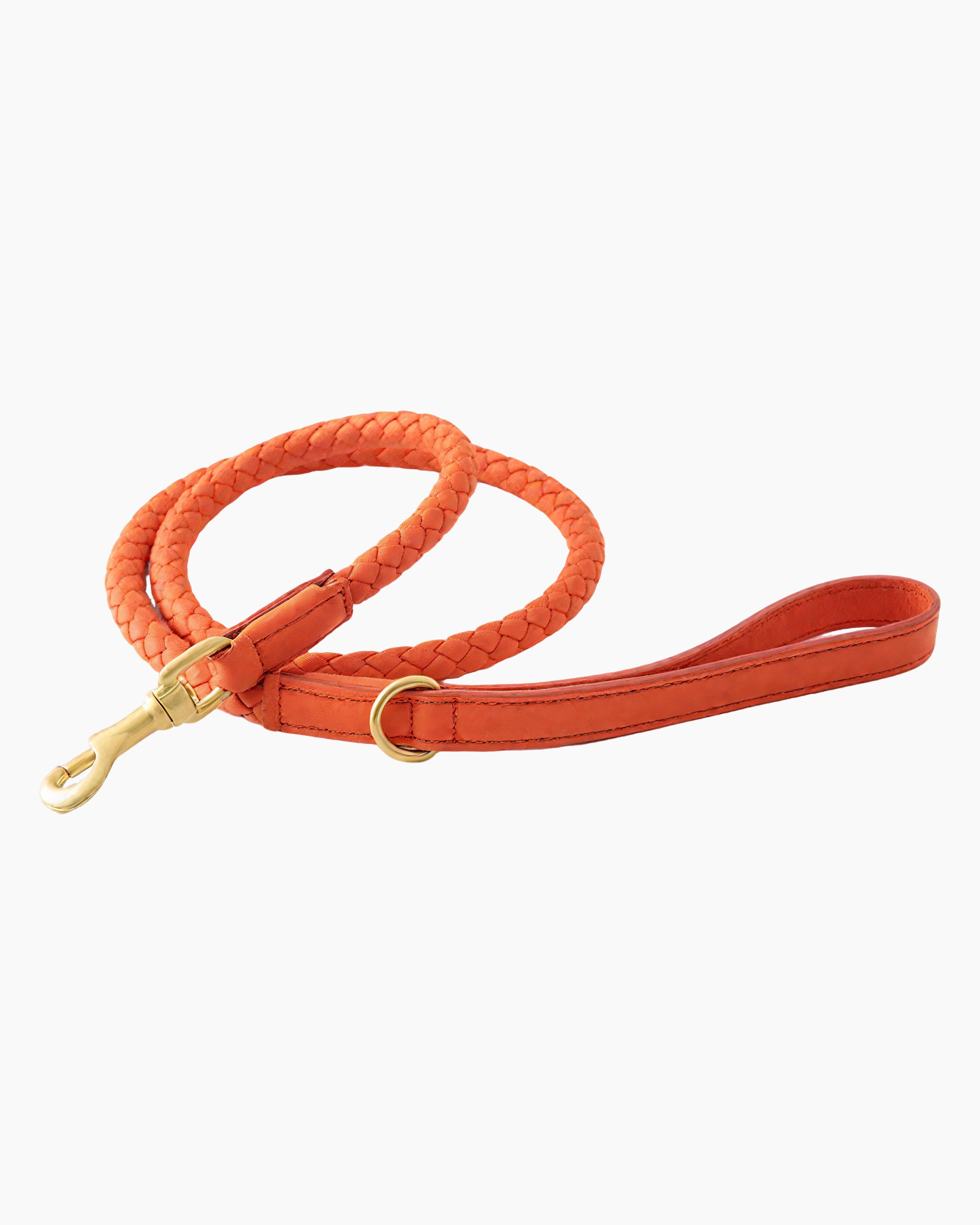 “Close-up of braided leather dog leash, highlighting texture and craftsmanship.