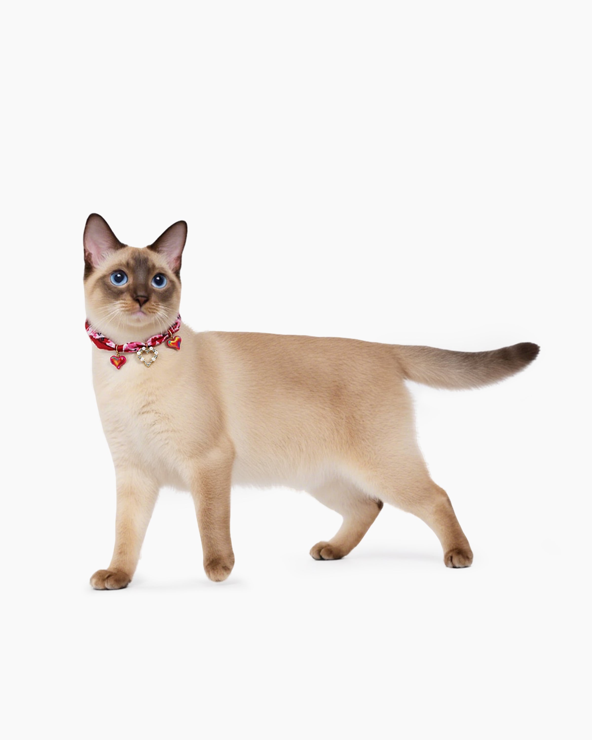 Love Trio Red Silk Adjustable Cat Collar with three unique heart charms, soft and comfortable, stylish for cats