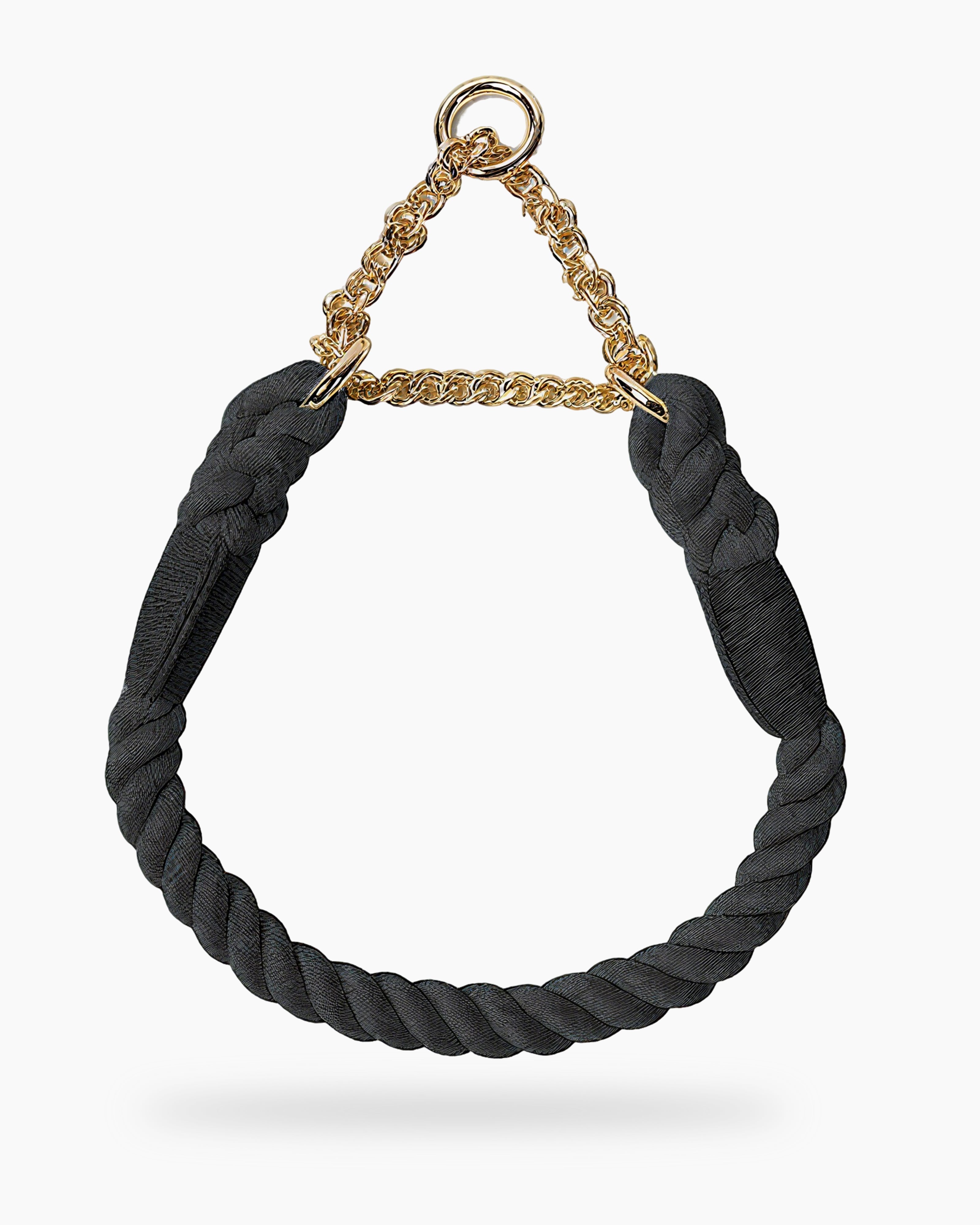 gold-tone chain on Rainbow March luxury dog collar, anti-pull design.