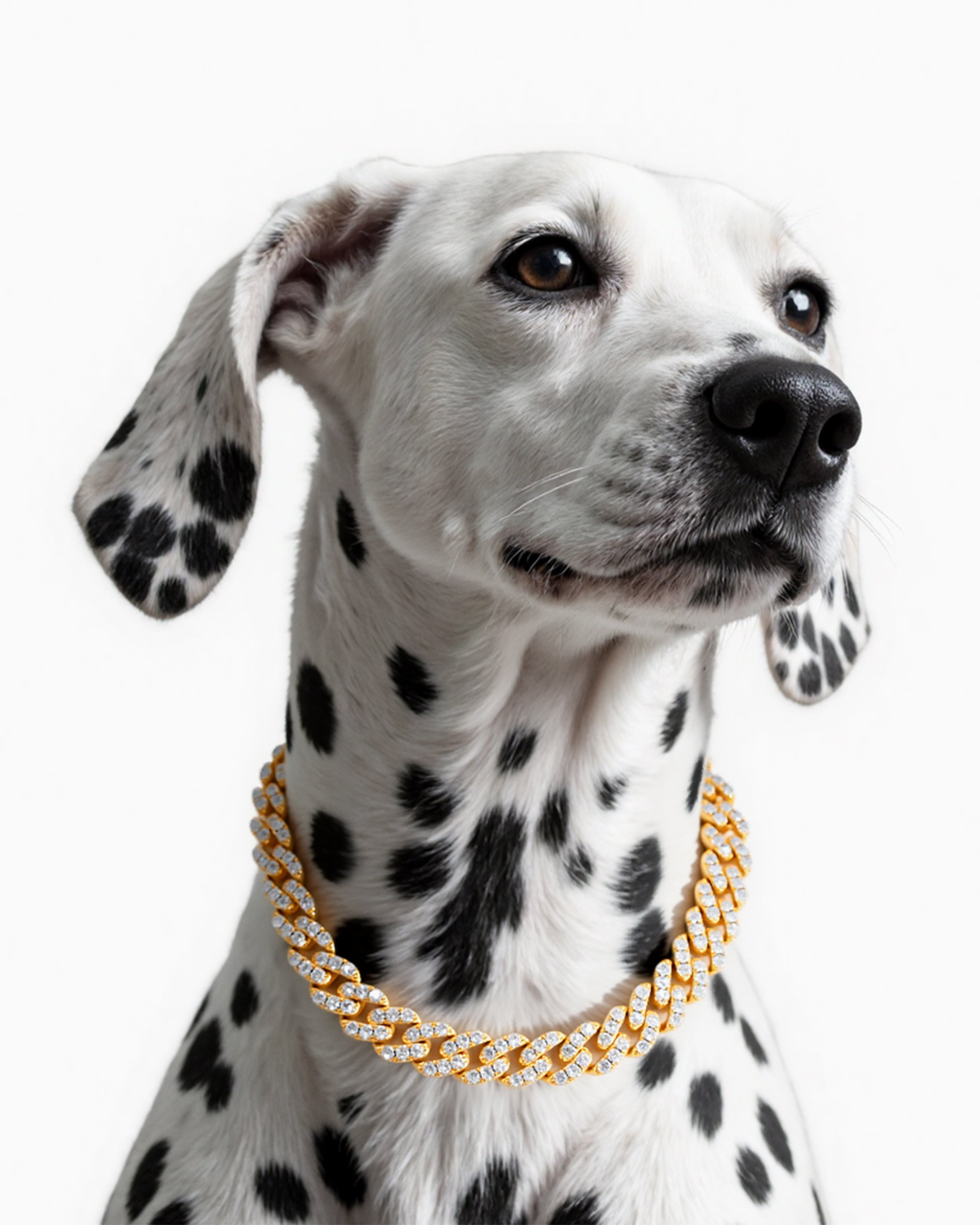 Rhombus-inspired dog collar with interlaced chain links, elegant geometric design