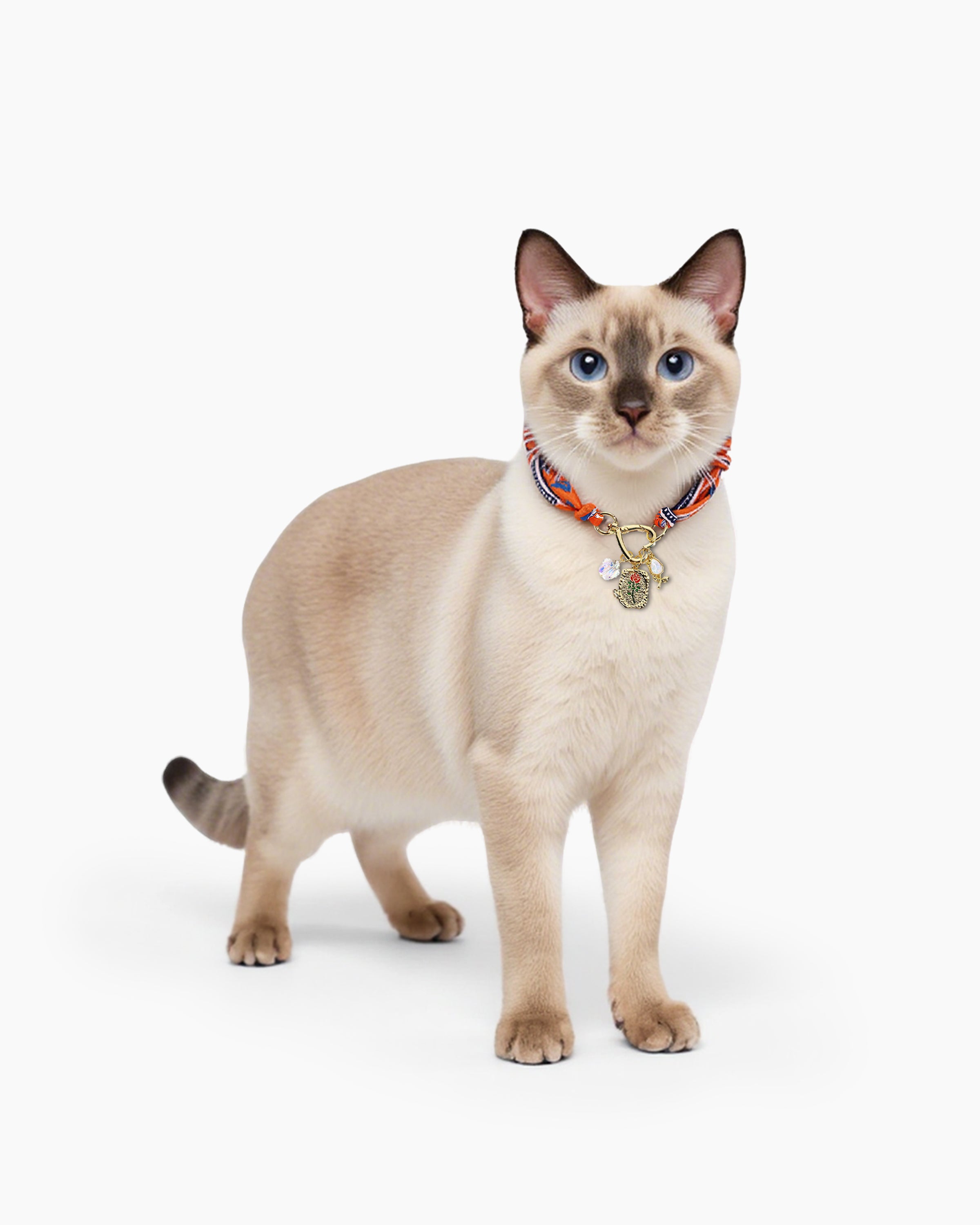 Cat wearing Silken Heart Rose Cat Collar featuring silk, heart clasp, rose design, and sparkling diamond