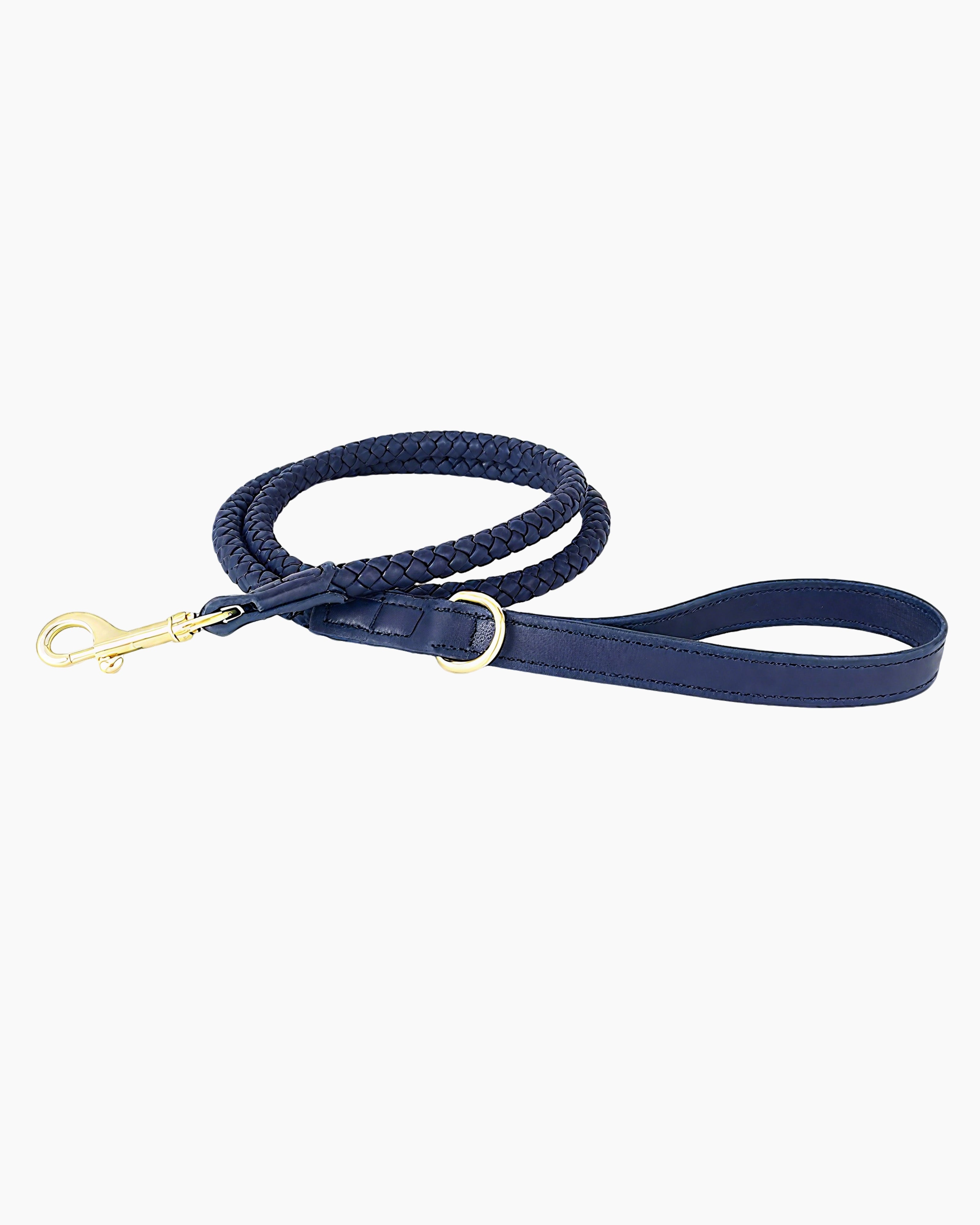 Small dog walking on leash in a pet-friendly outdoor environment.