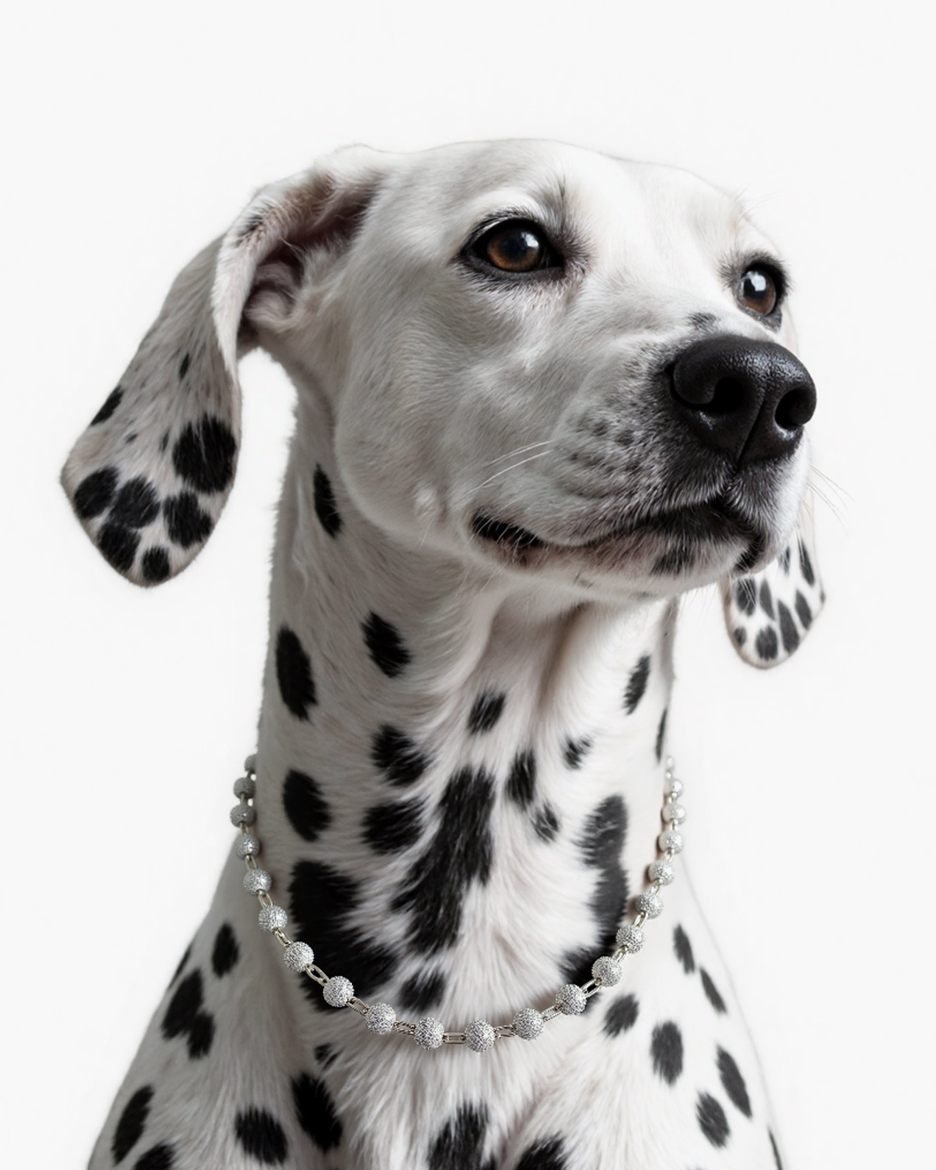 Starry sky inspired dog necklace, stylish fashion accessory for pets