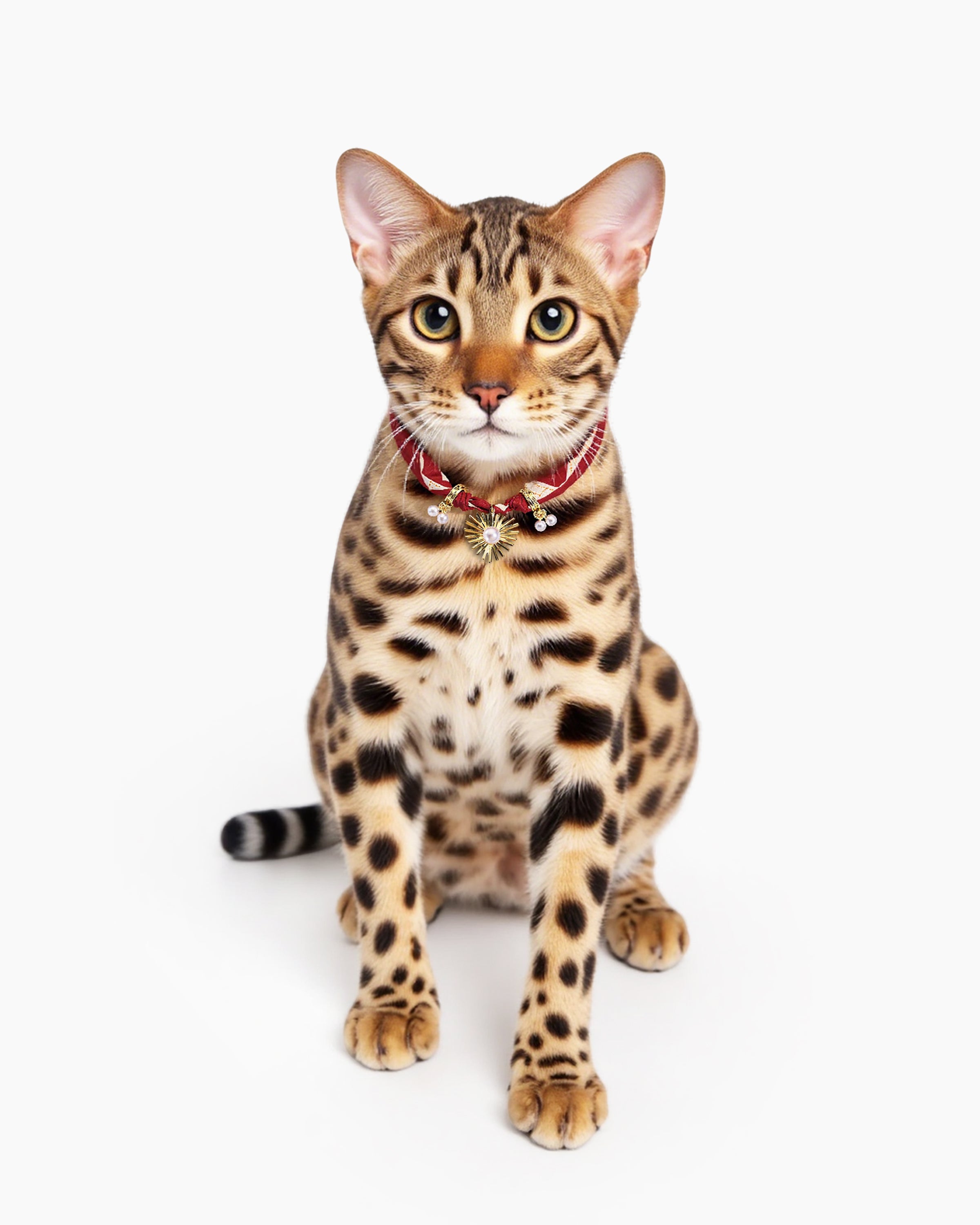 Sunbeam Pearl Charm Silk Cat Collar – Soft silk, lustrous pearl, and elegant charm for your cat.