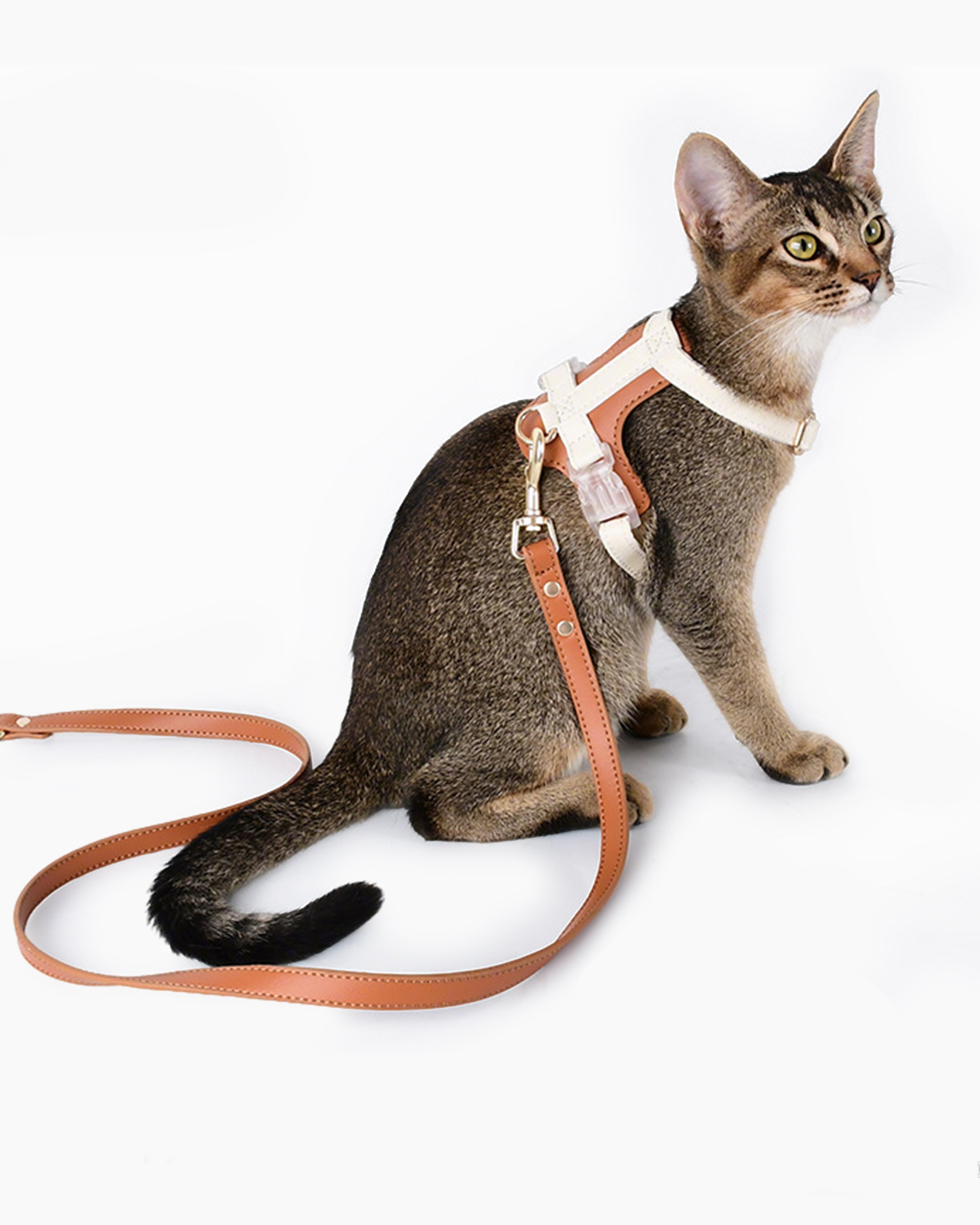 Versatile dog lead suitable for harness or collar